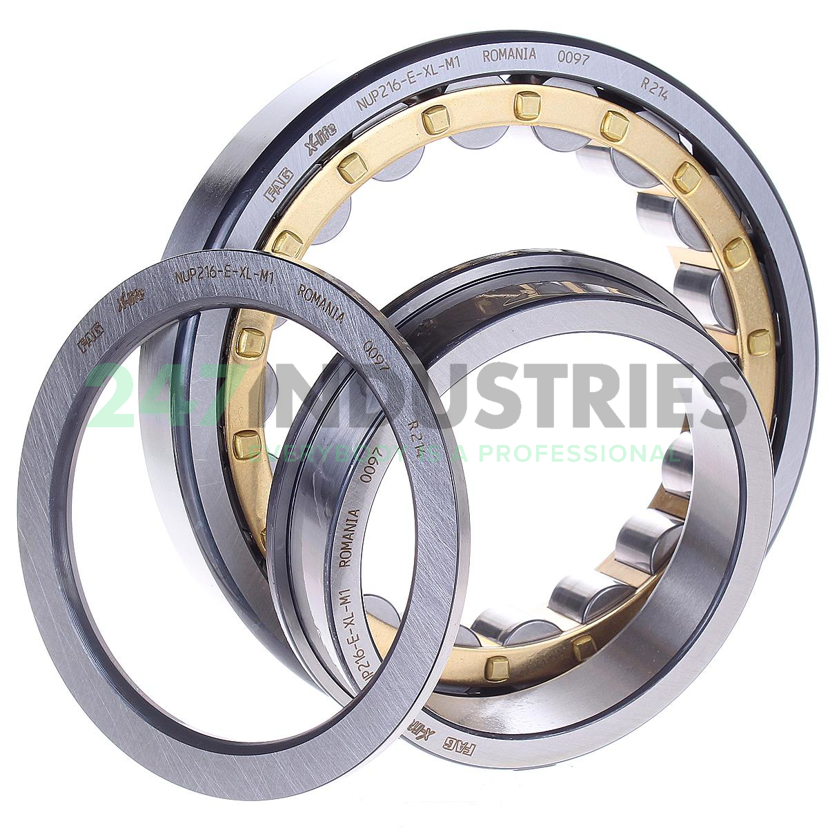 NUP216-E-XL-M1 FAG Image 3