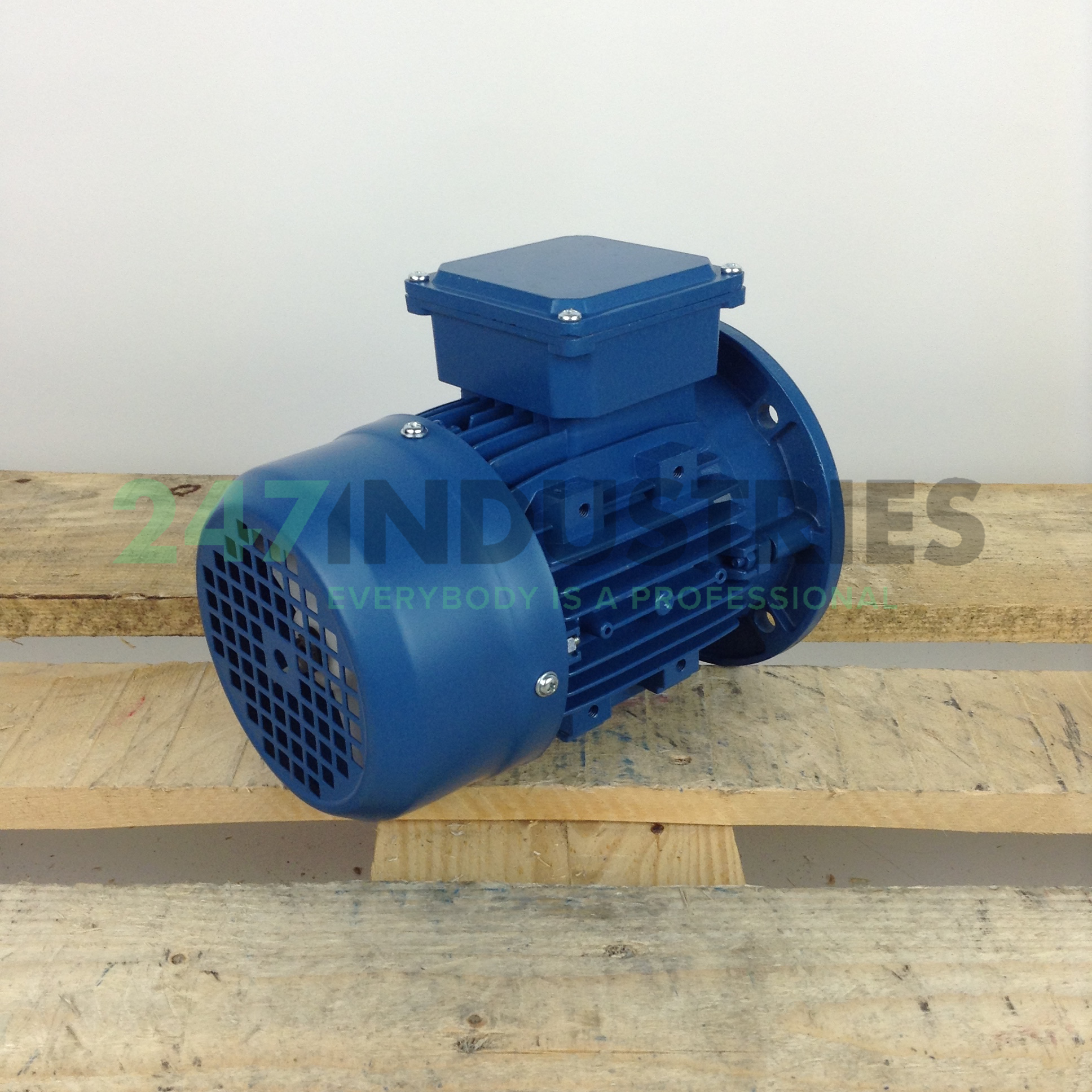 BF3171M-4B5 Universal Motors Image 3