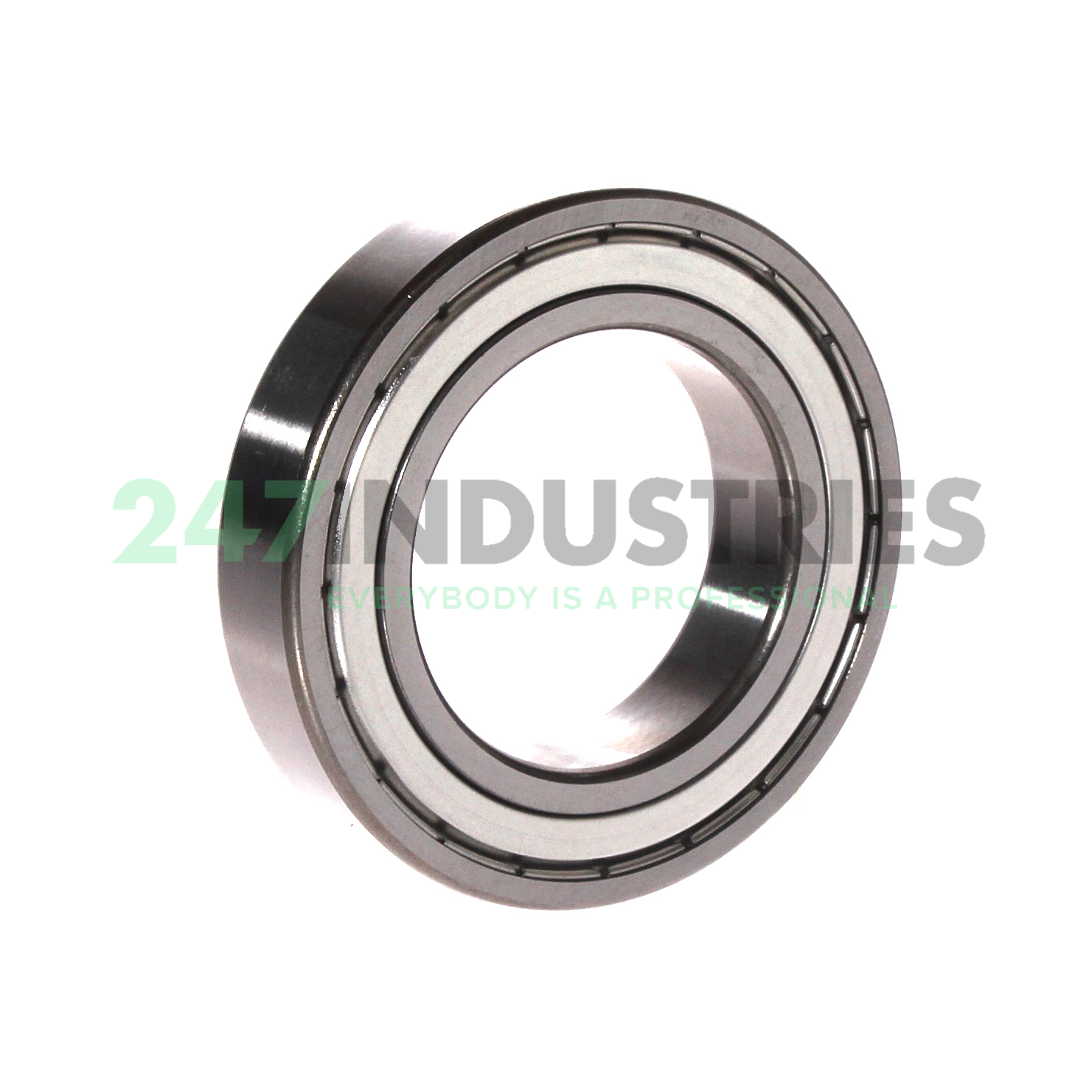 6009-2Z-L069-C3 FAG Image 2