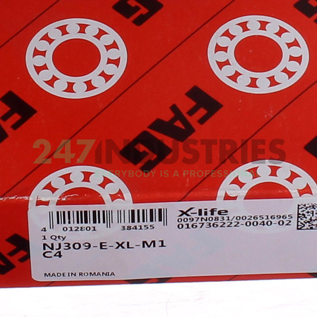 NJ309-E-XL-M1-C4 FAG Image 5