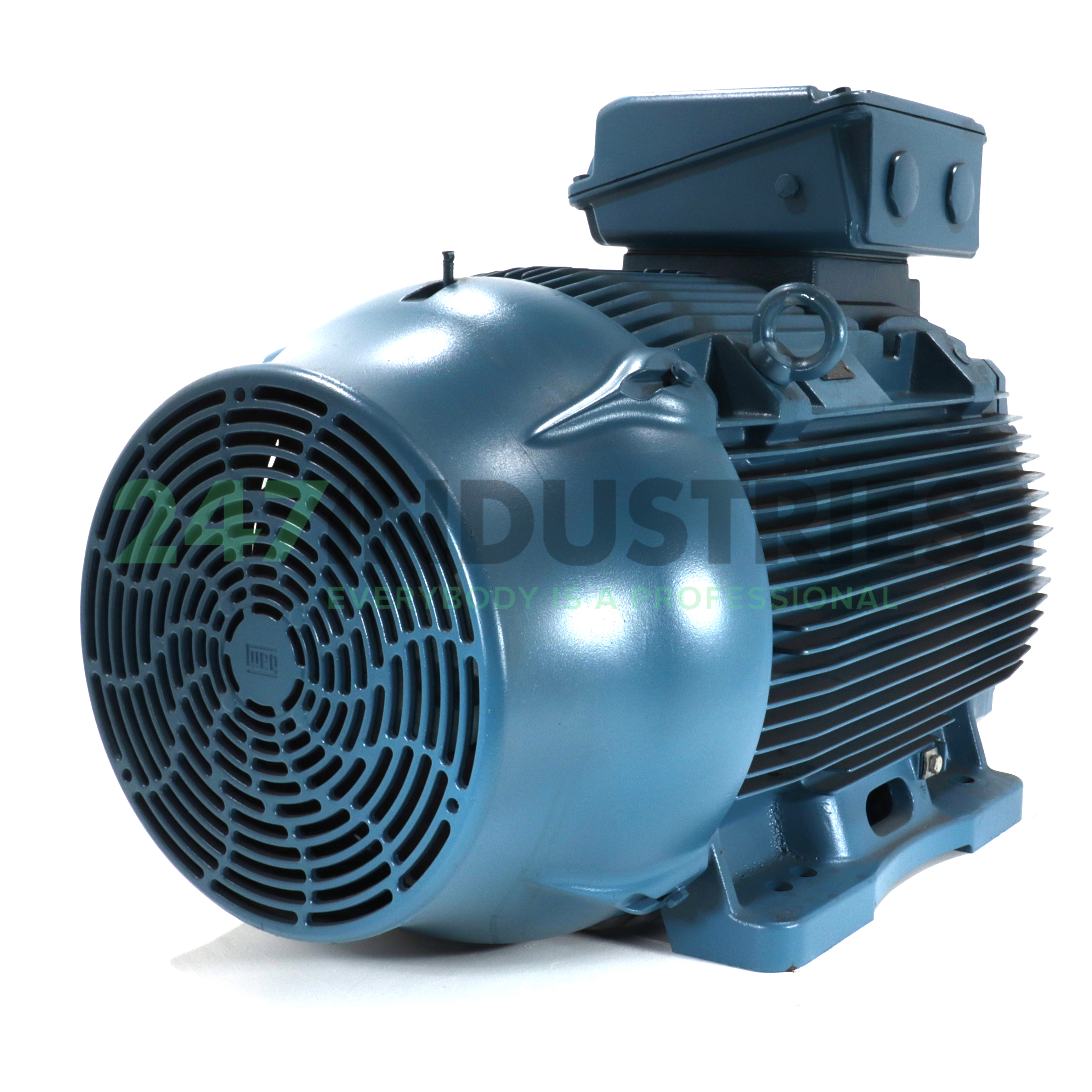 110K32CI2315S/M2B3 WEG Image 3