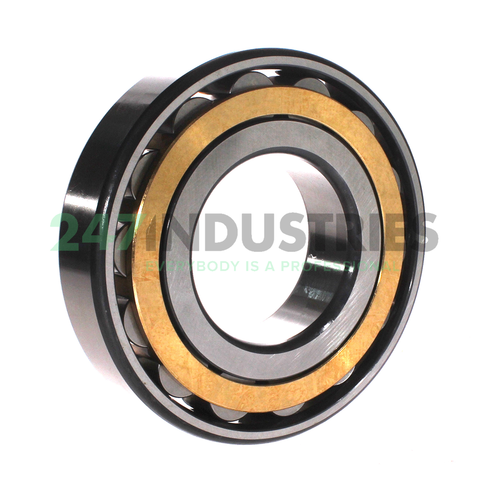 N317-E-XL-M1 FAG Image 3