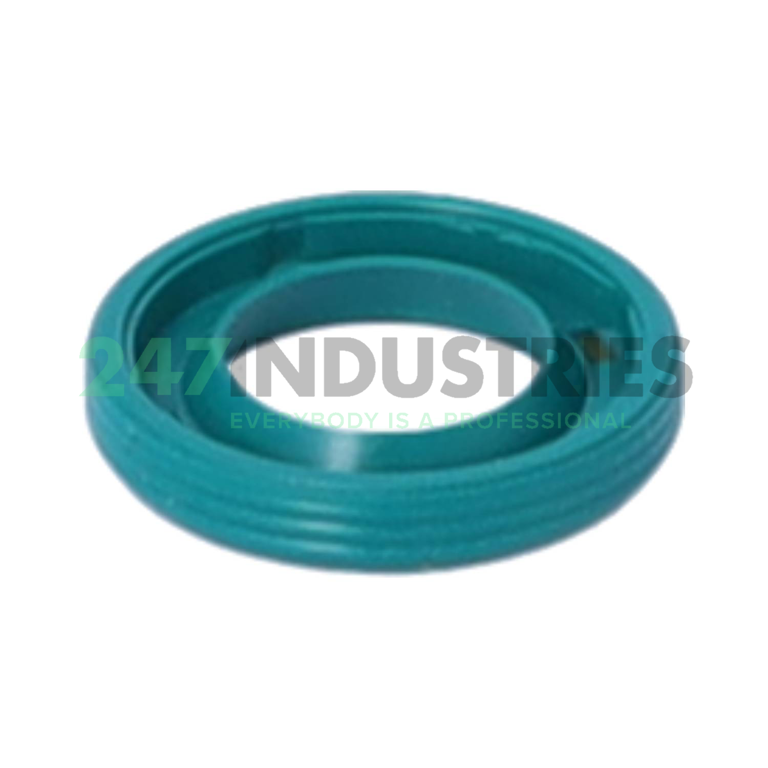 VG1 10X17X3 NAK Sealing Technologies Image 2