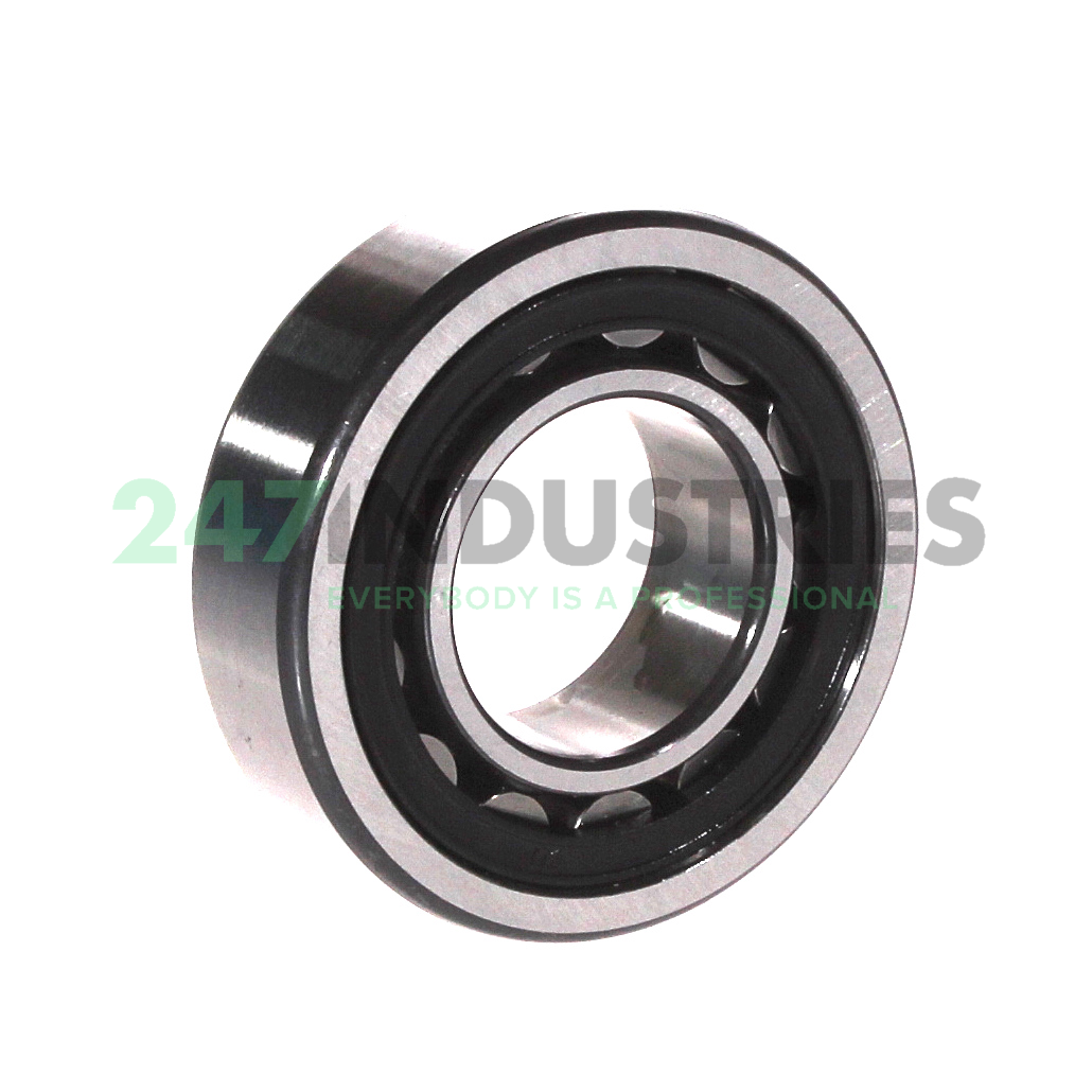 NU205-E-XL-TVP2-C4 FAG Image 2