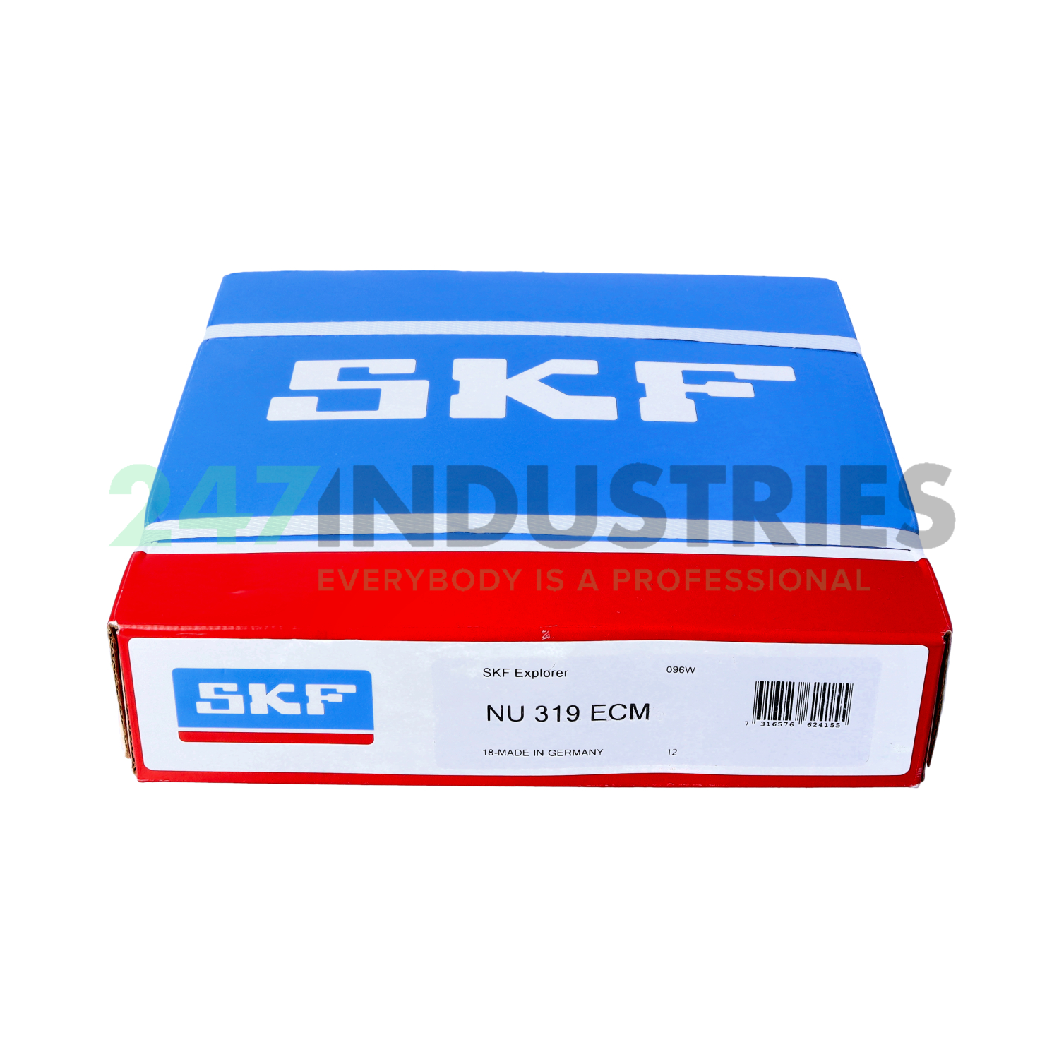 NU319ECM SKF Image 4