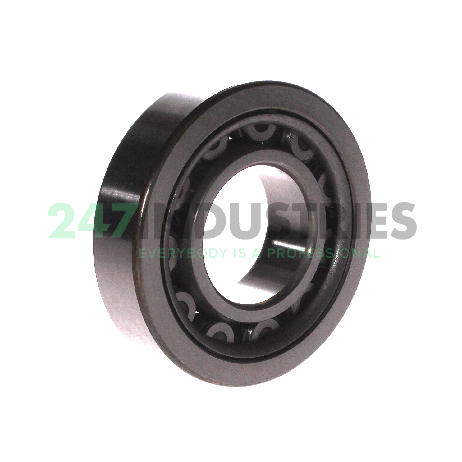 NU309W C3 NSK Image 2