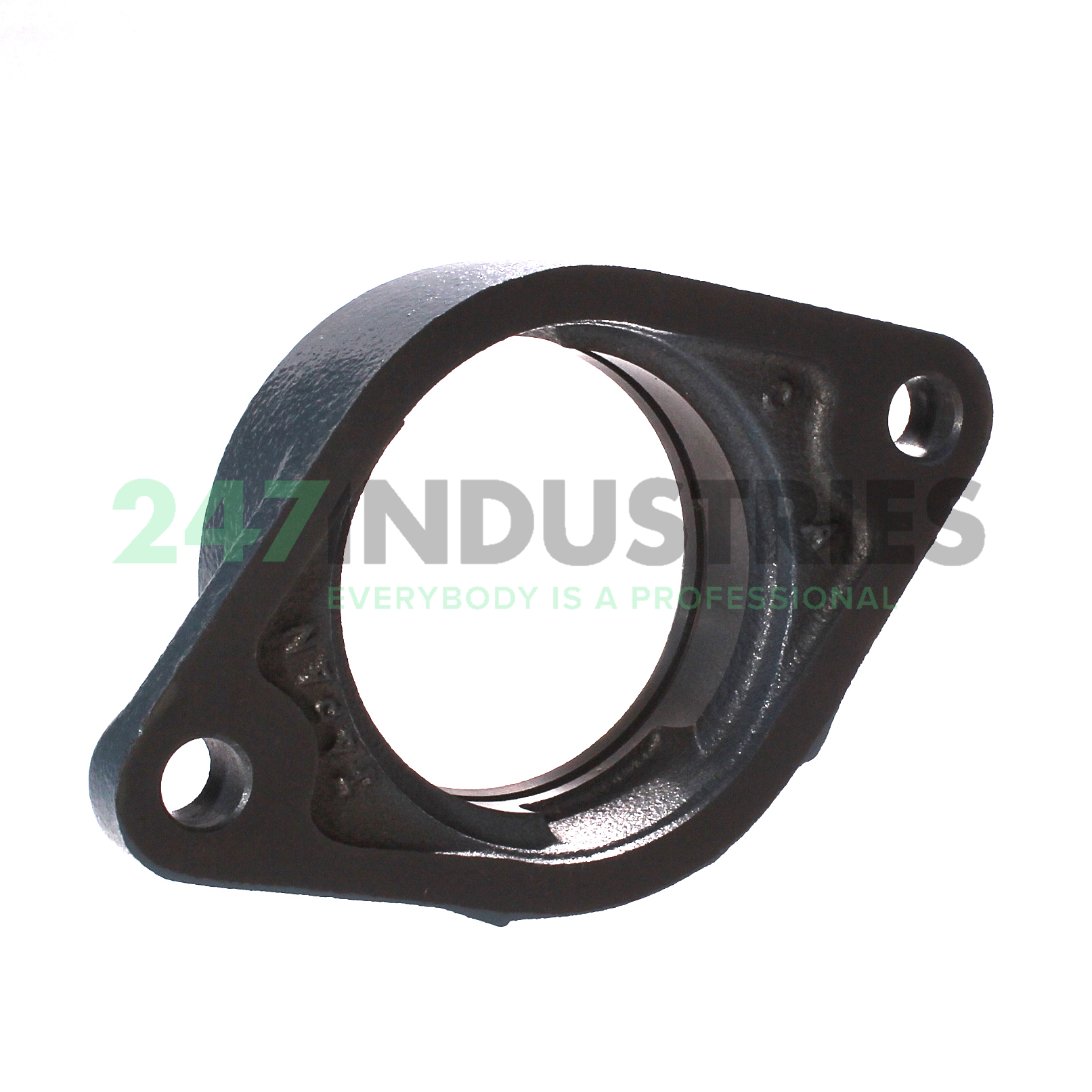 FT208HSG Asahi Image 3