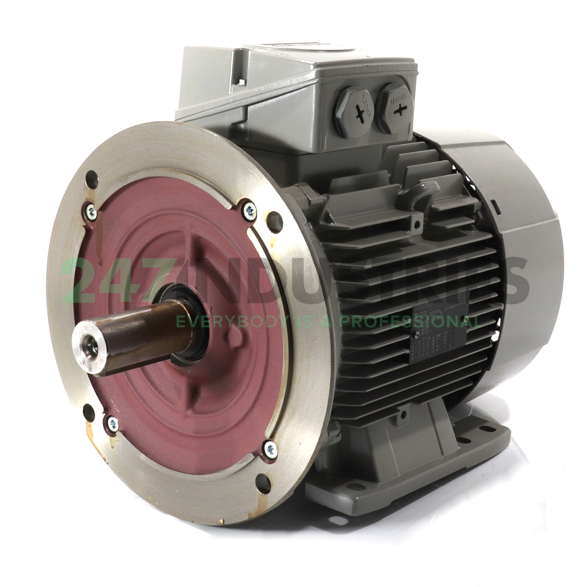 1LE1001-1CB02-2JA4 Siemens