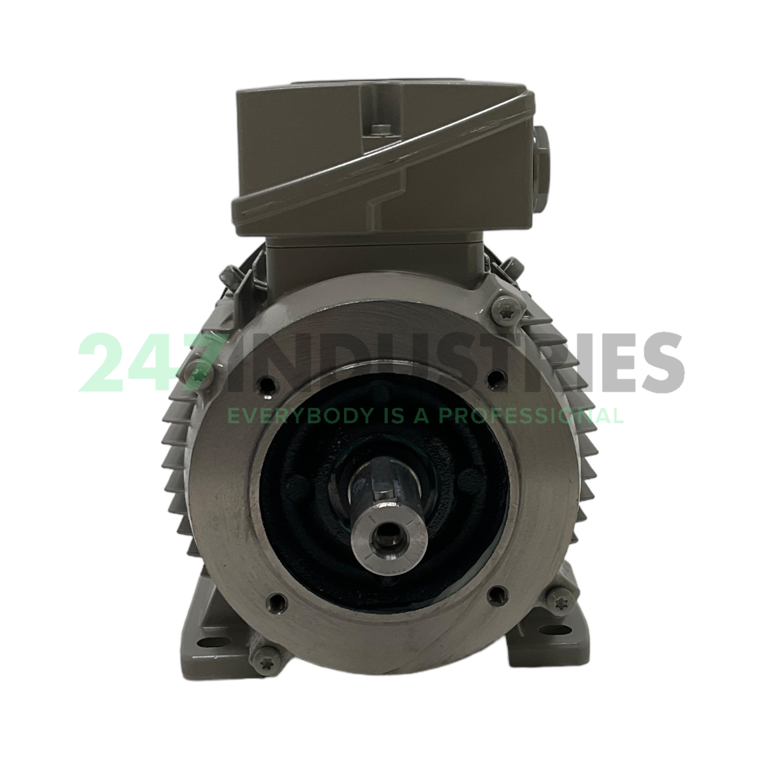 1LE1004-1AB52-2NA4 Siemens Image 2