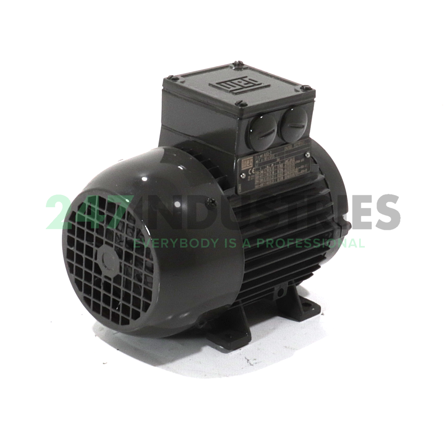 0.18K31AL0632B3 WEG Image 3