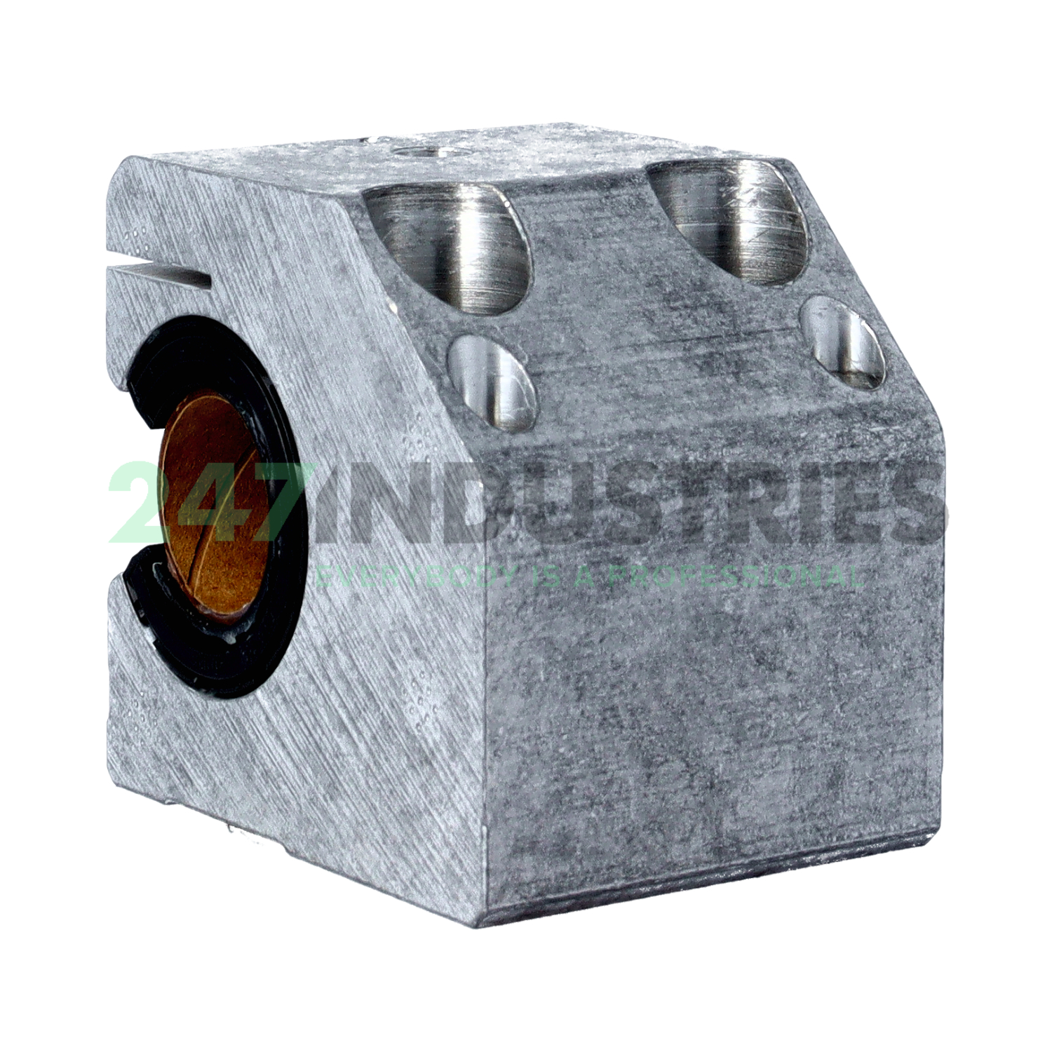 KGSCS30-PP-AS INA Image 3