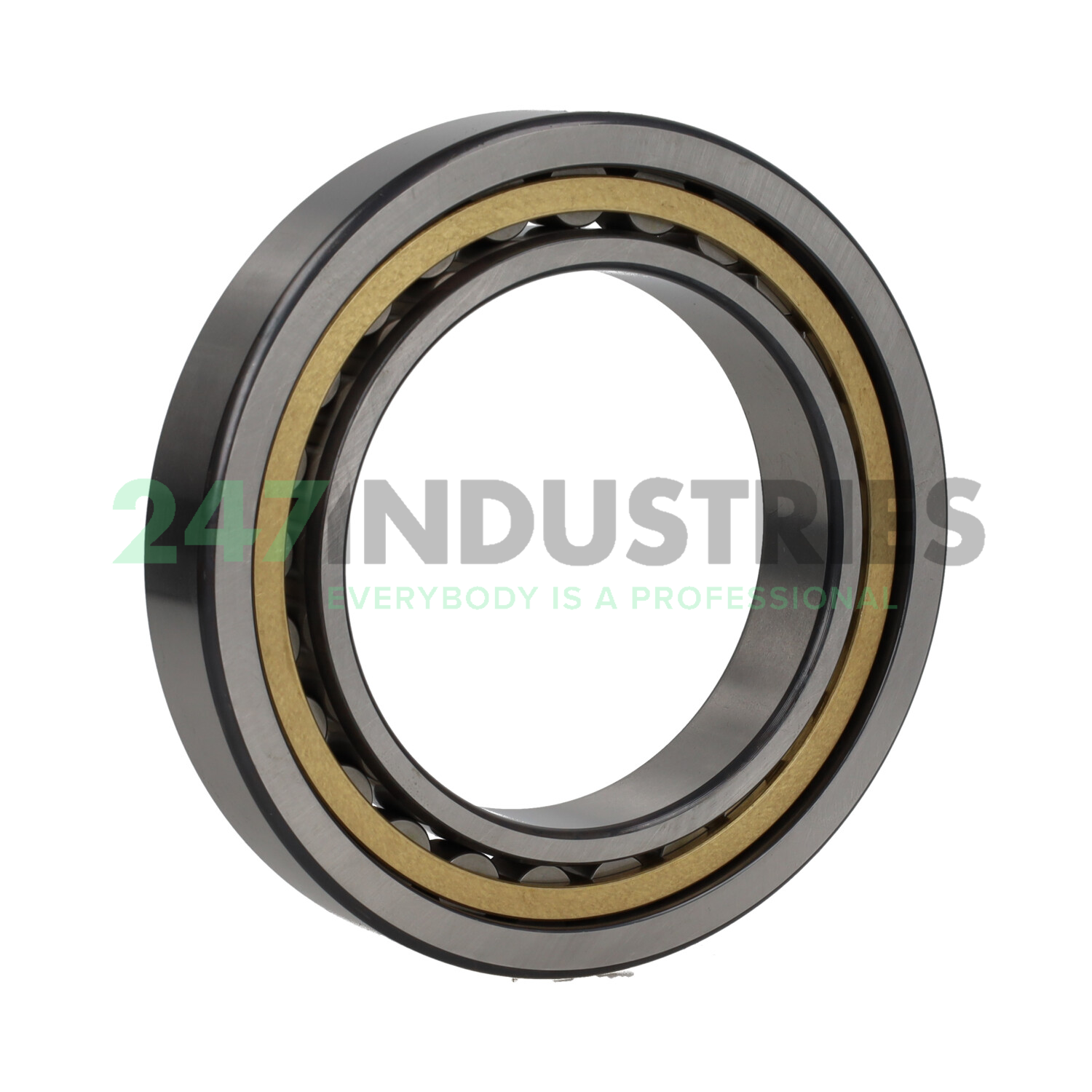 NU1018-M1 FAG Image 3