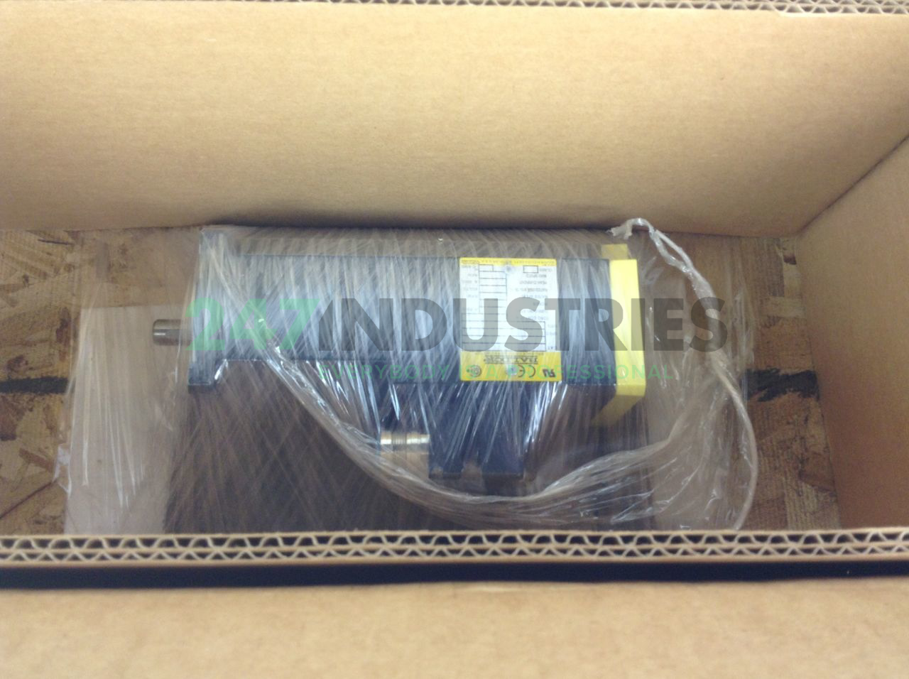 BSM63N-175AE Baldor Image 2