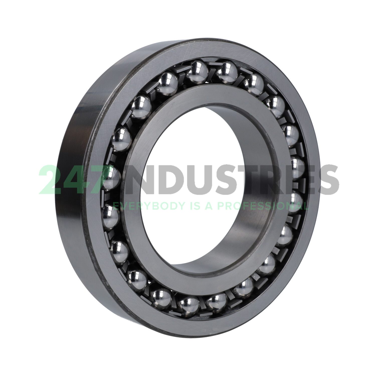 1219 SNR Image 2