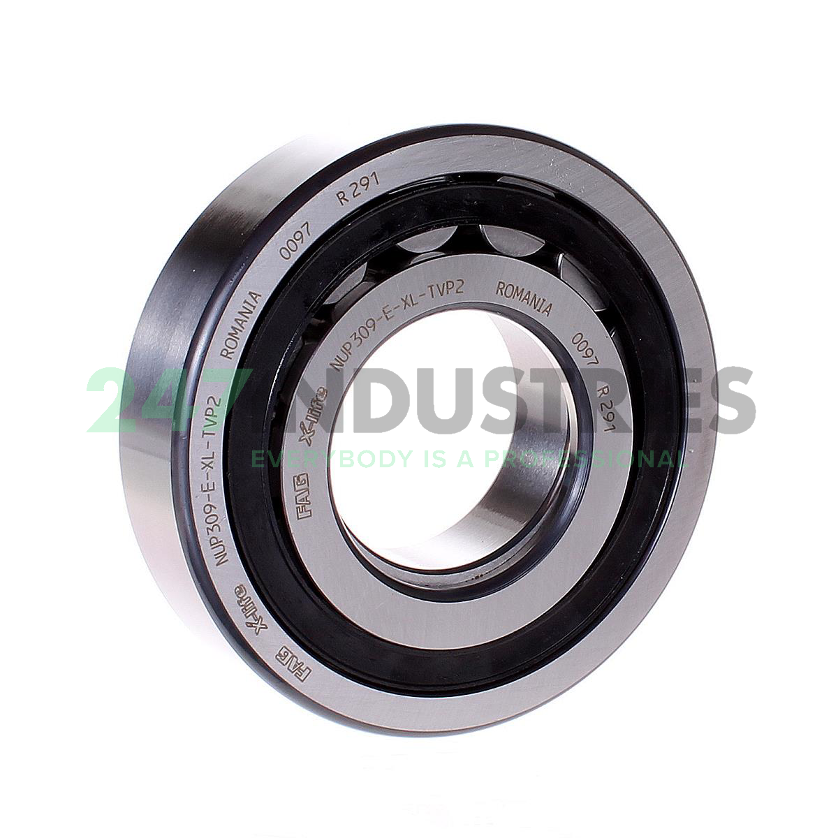 NUP309-E-XL-TVP2 FAG