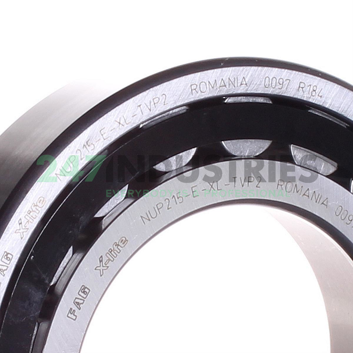 NUP215-E-XL-TVP2 FAG Image 2