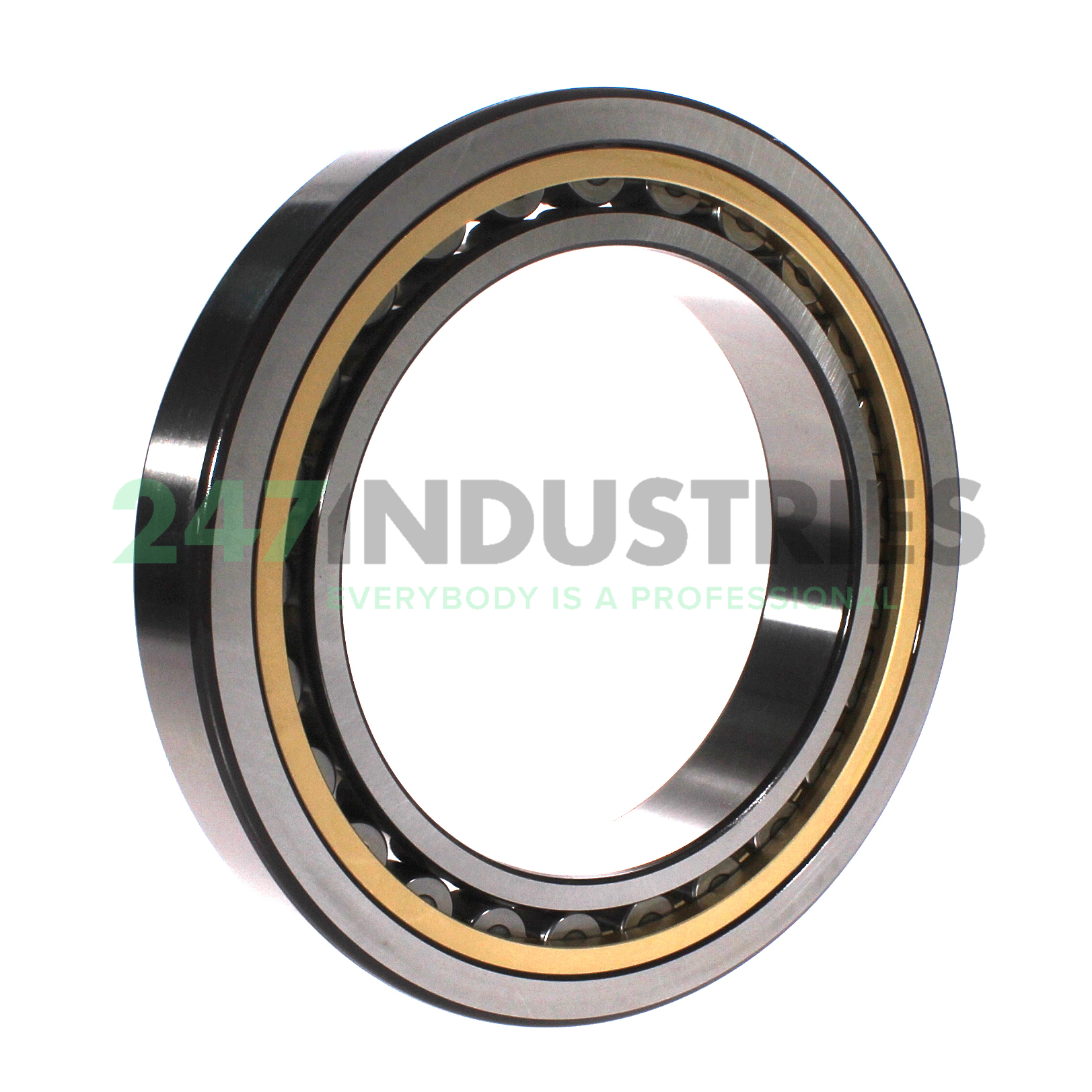 NU1028ML SKF Image 3