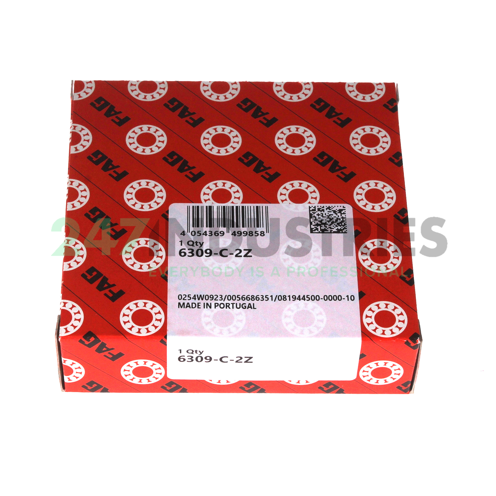 6309-C-2Z FAG Image 3