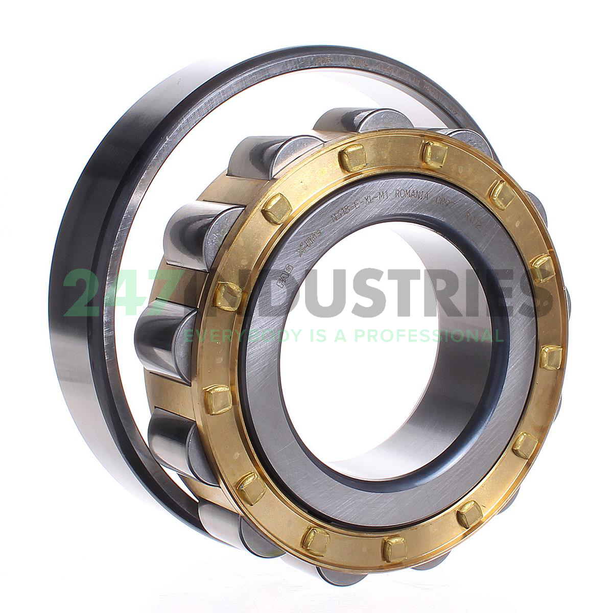 N318-E-XL-M1 FAG Image 3