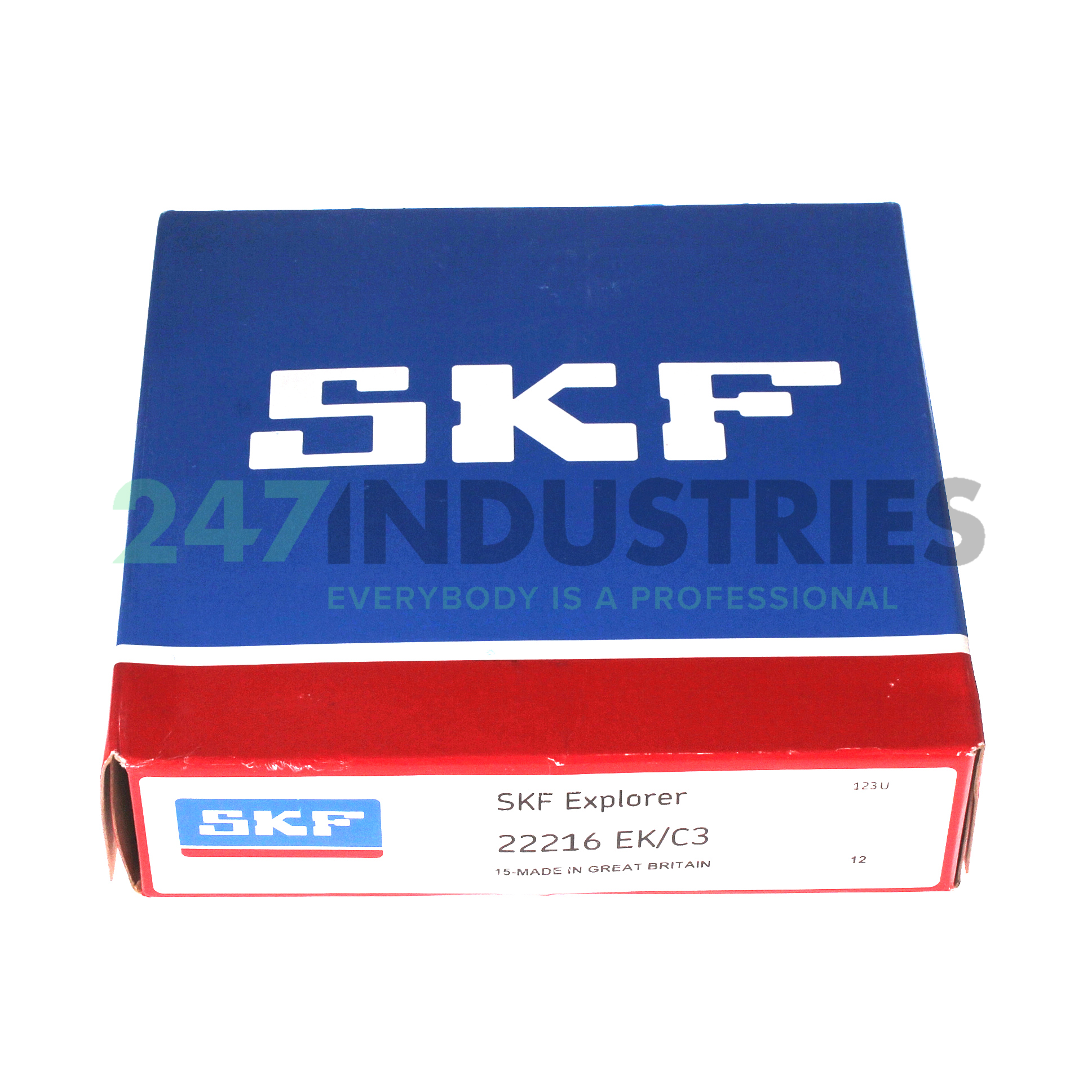 22216EK/C3 SKF Image 5