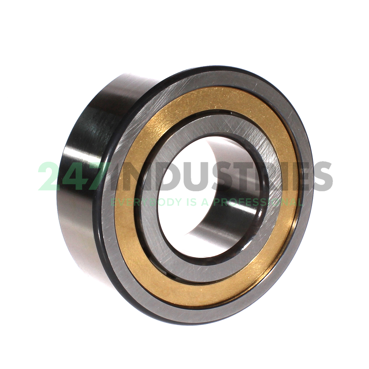 NJ2313-E-XL-M1A-QP51-C3 FAG Image 3