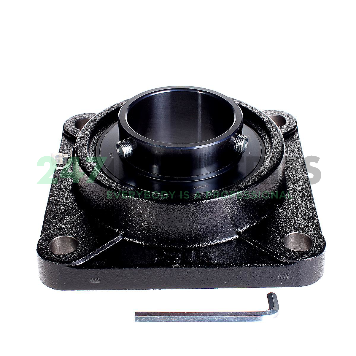 UCF215-48-J7 FAG Image 2