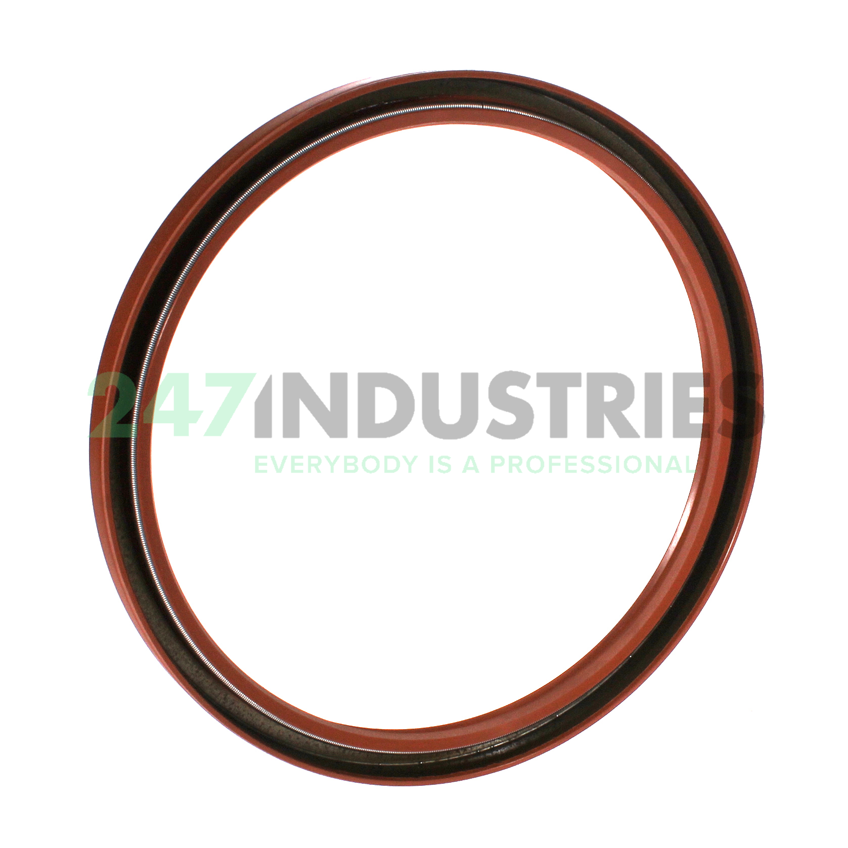 CR140X160X12HMSA10V SKF Image 2