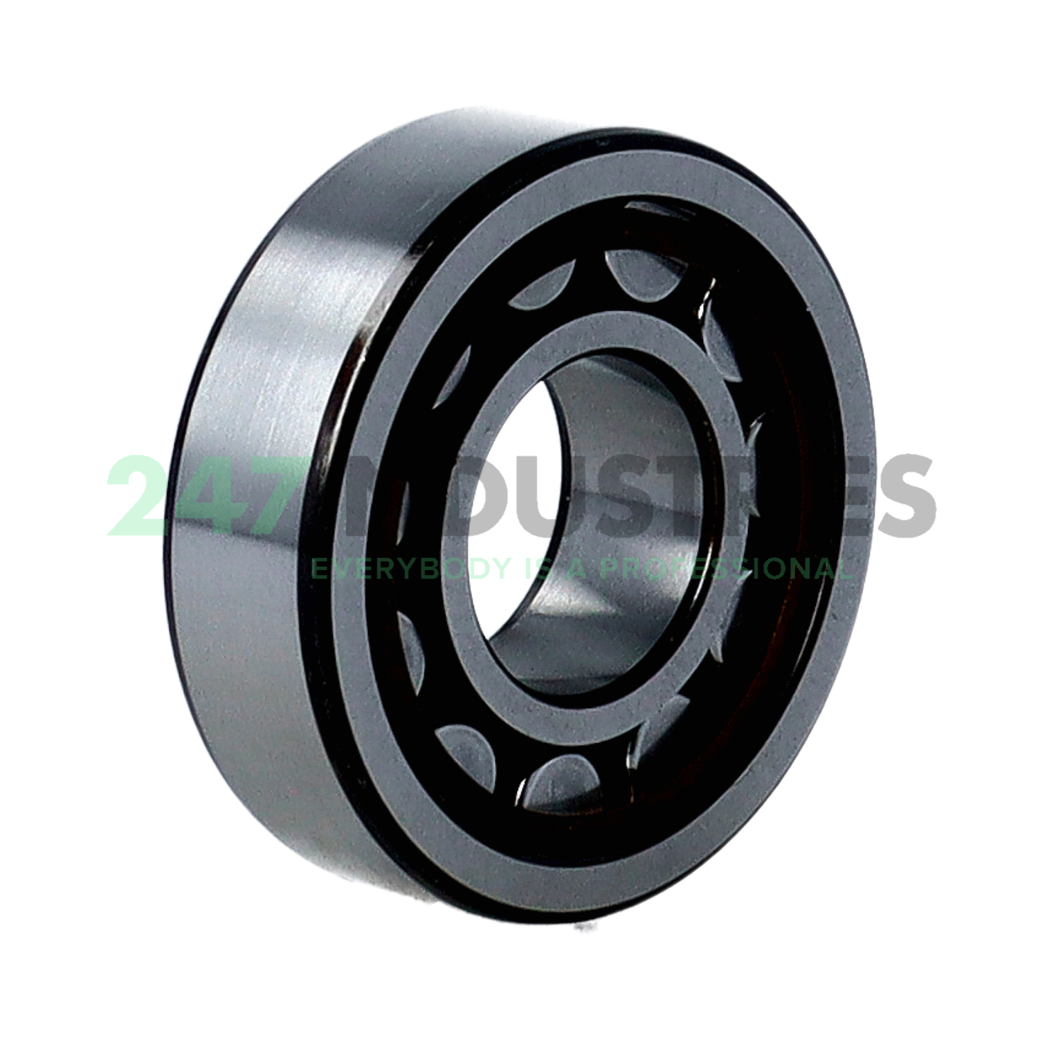 NJ204ECP SKF Image 2