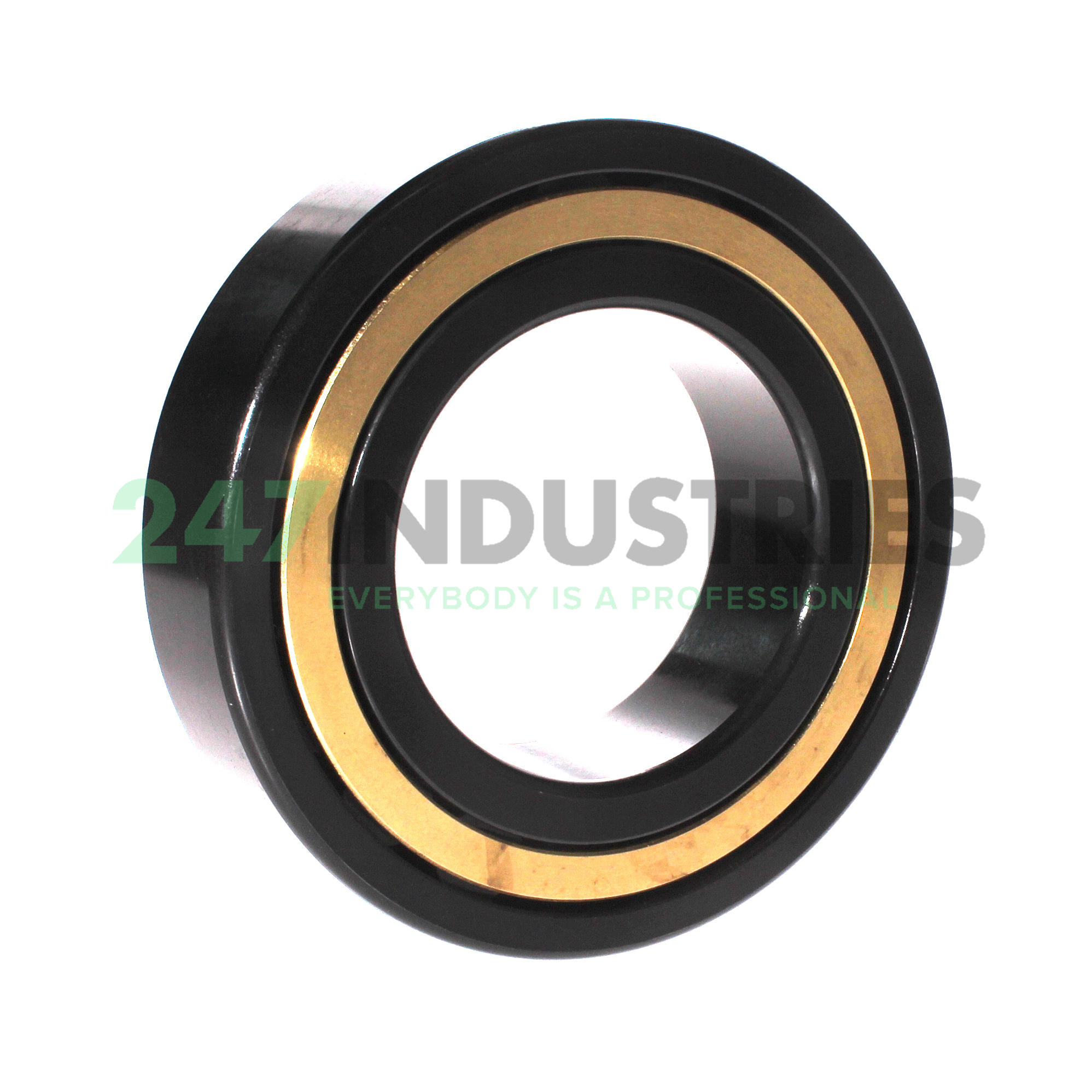 NJ2220-E-M1-J30PC-C3 FAG Image 2