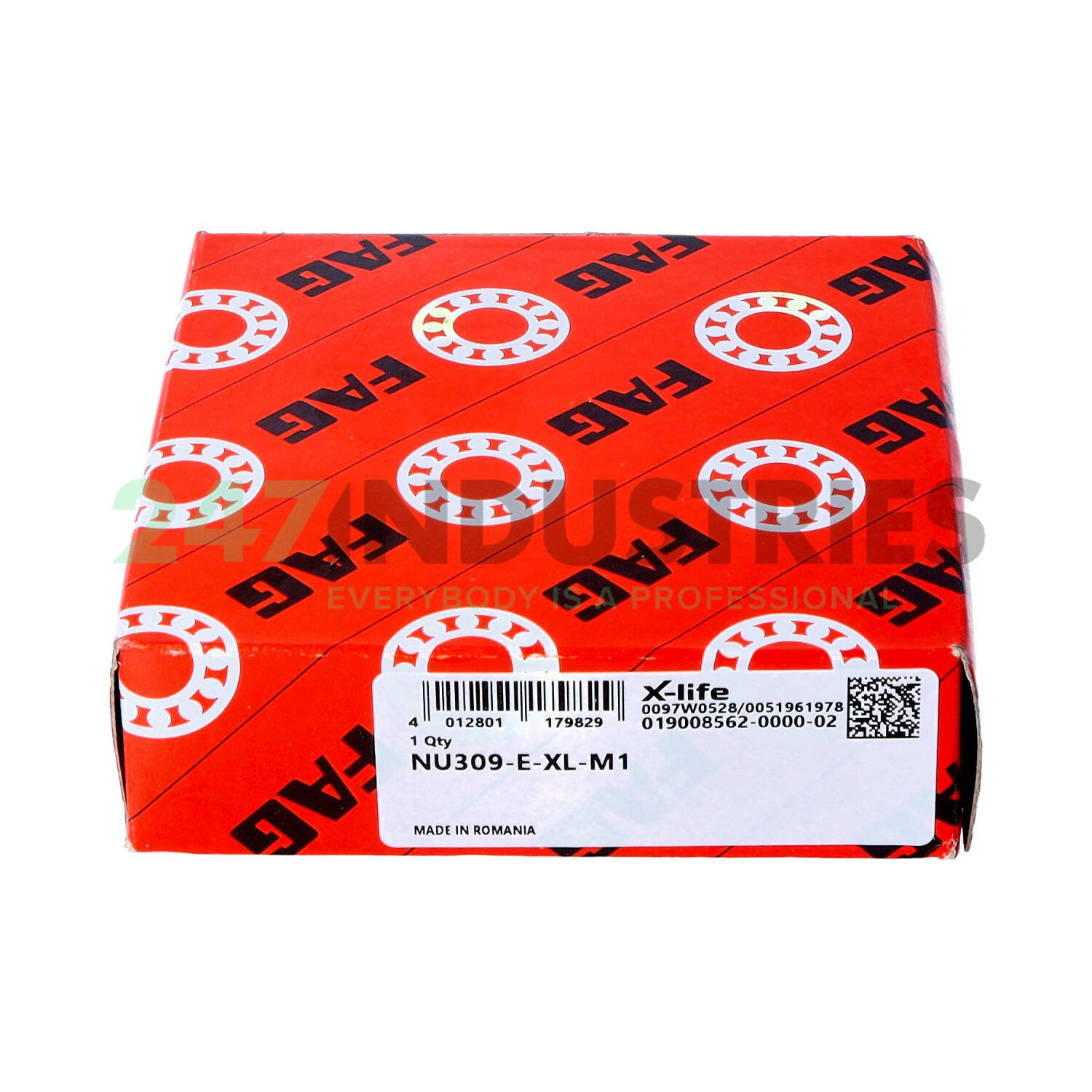 NU309-E-XL-M1 FAG Image 4