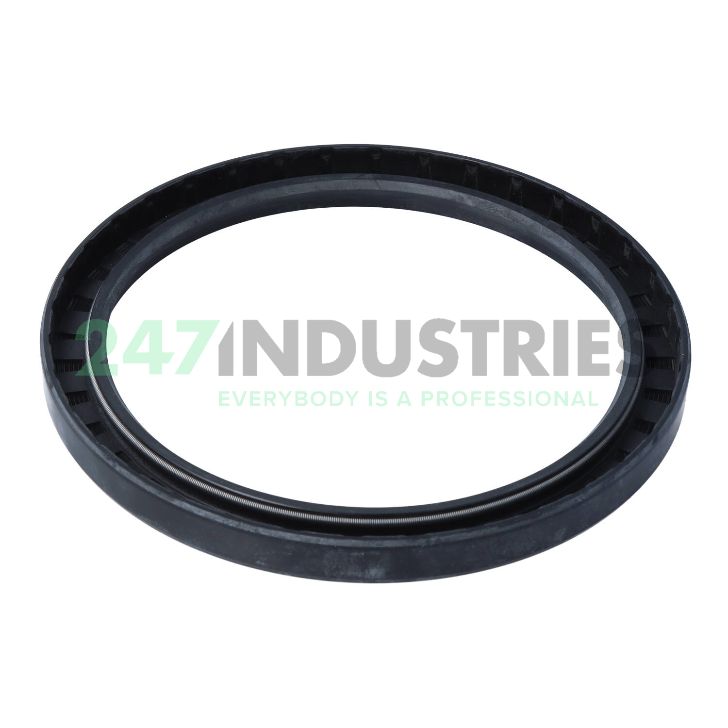 SC130X160X13 CHO Champ Oil Seals Image 2