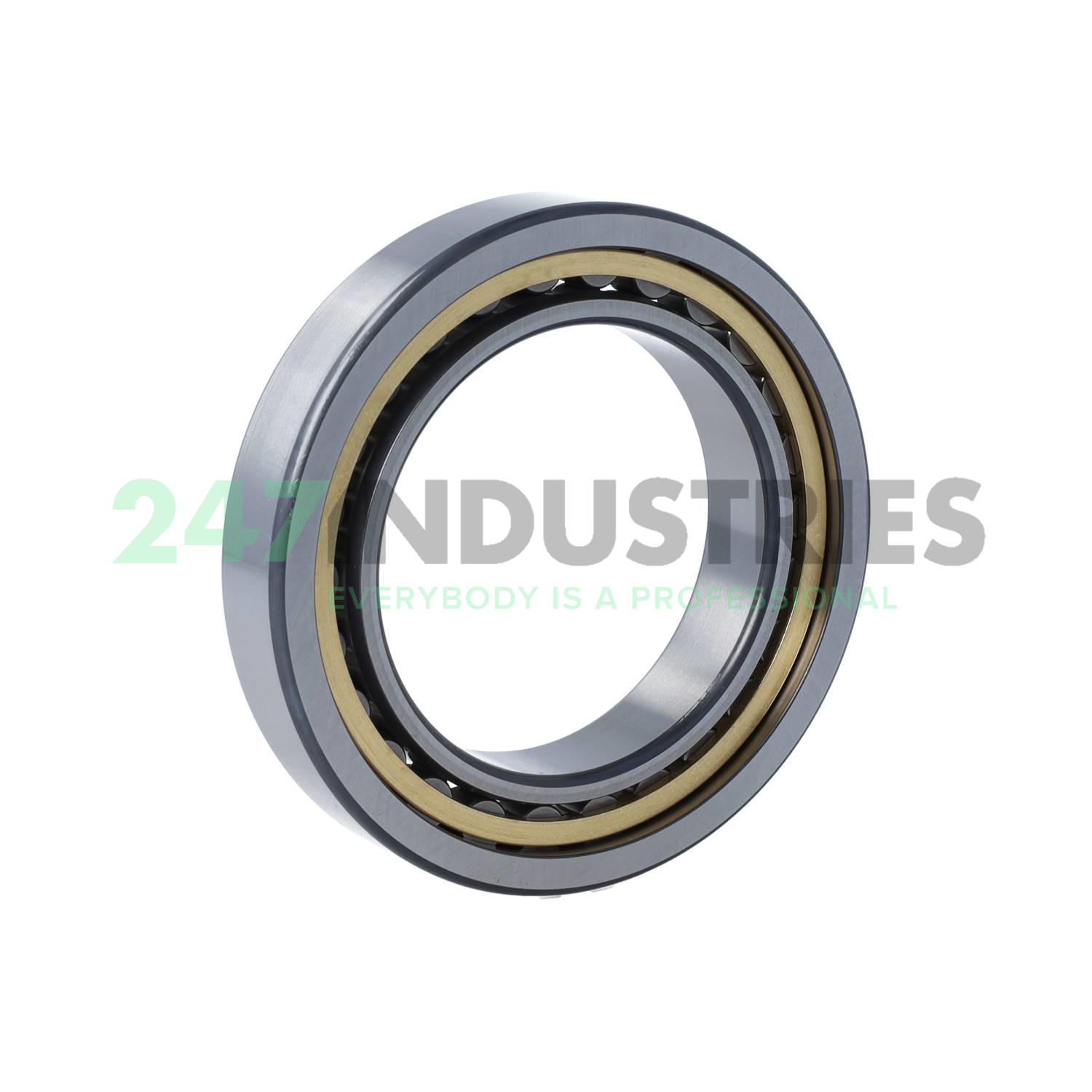 NU1013-XL-M1 FAG Image 2