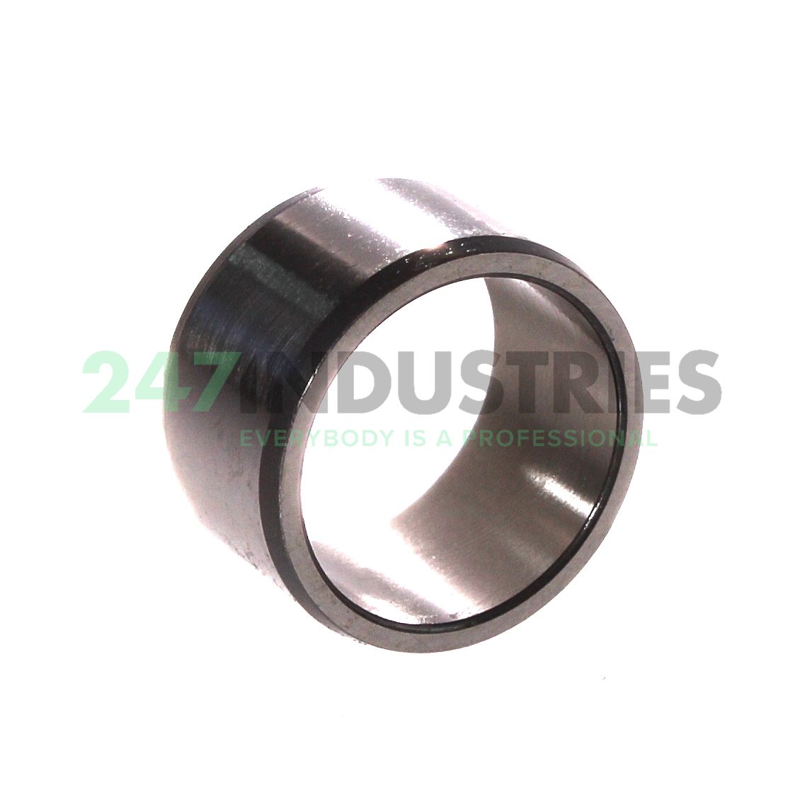 IR25X30X17 SKF