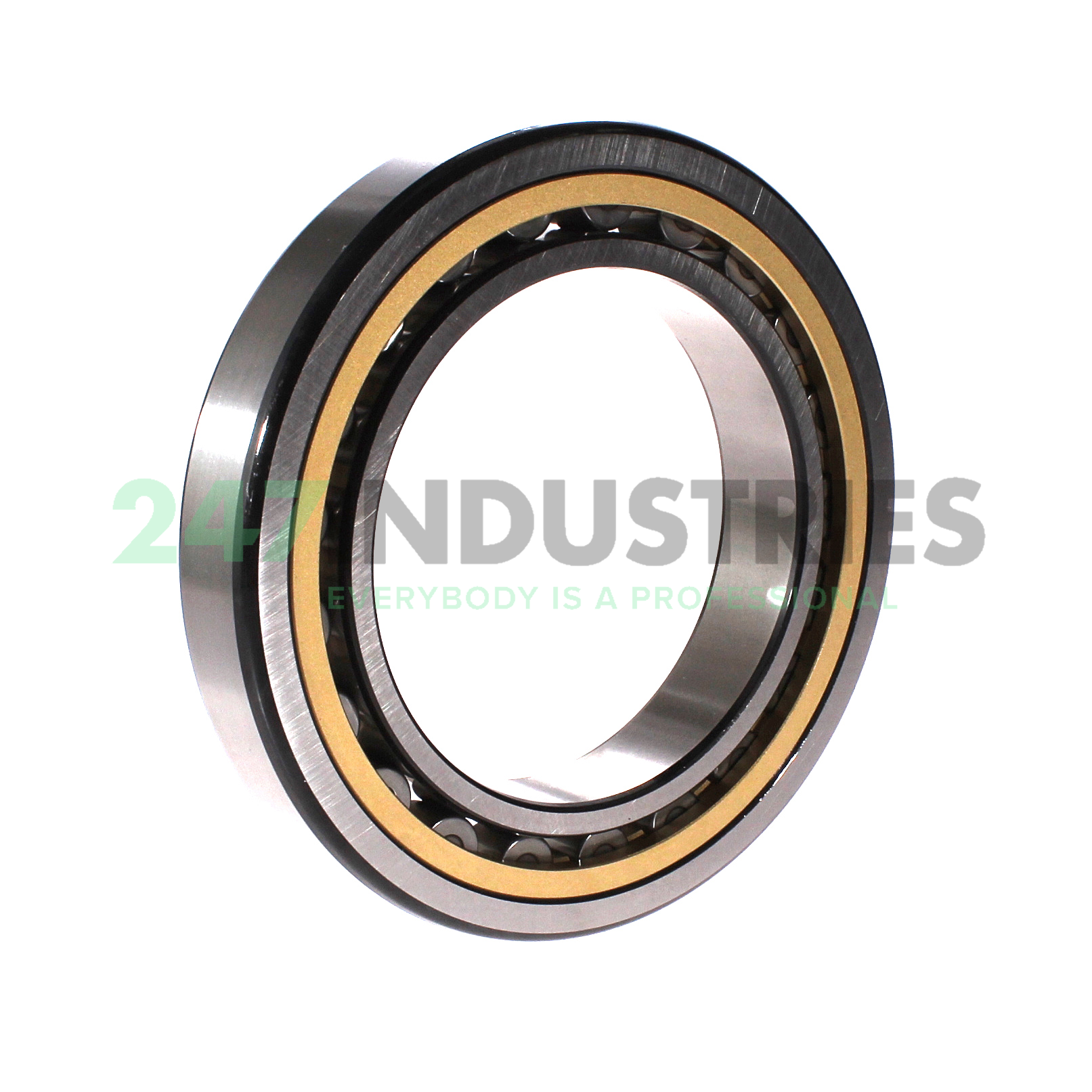 NU1022ML SKF Image 2