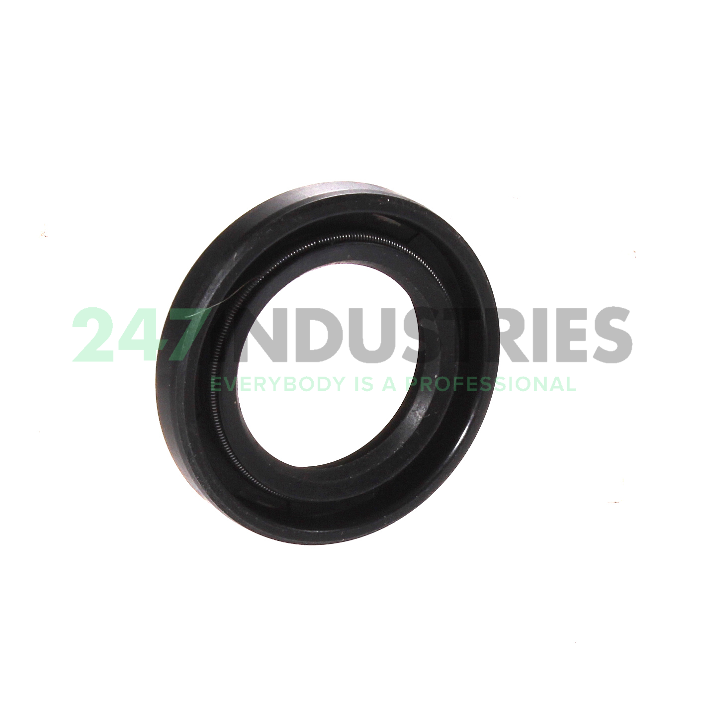 TC19X30X5 CHO Champ Oil Seals Image 2