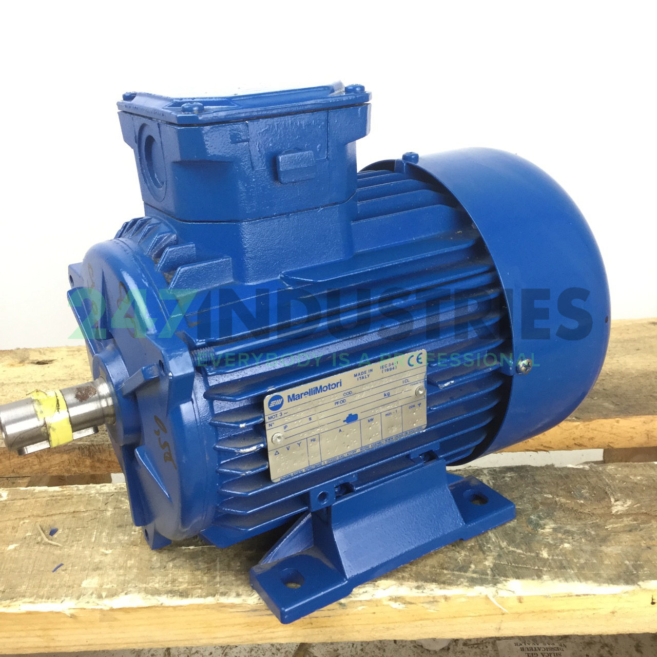 A4C0813A00017 Marelli Motori