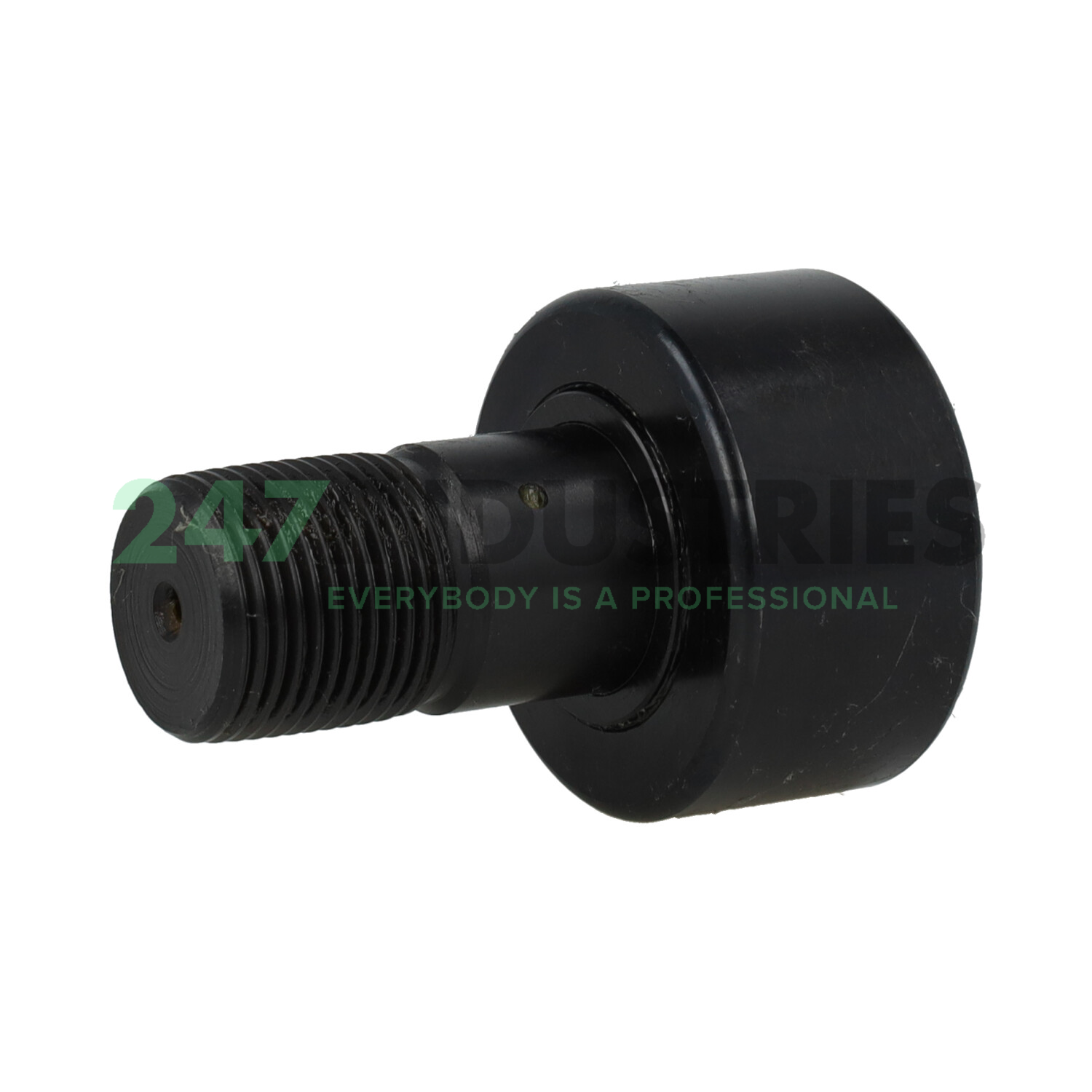 CFH2.1/4 McGill Image 2