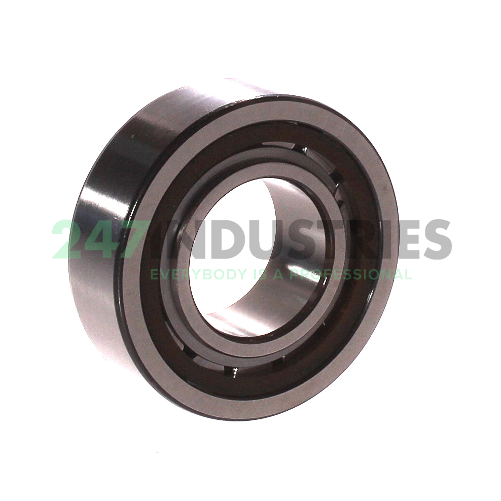 BC1-0313 SKF Image 2