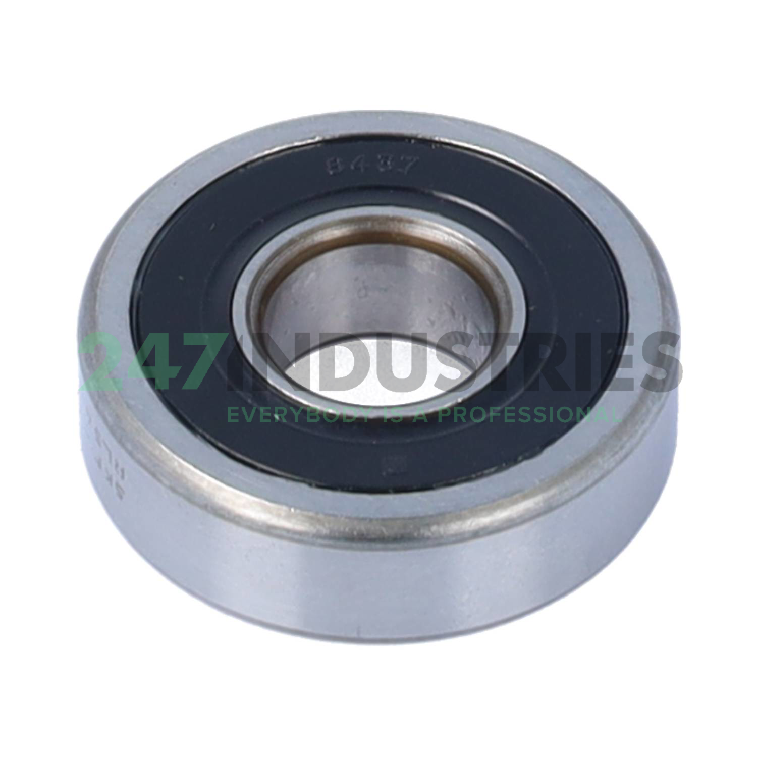 RLS4-2RS1 SKF