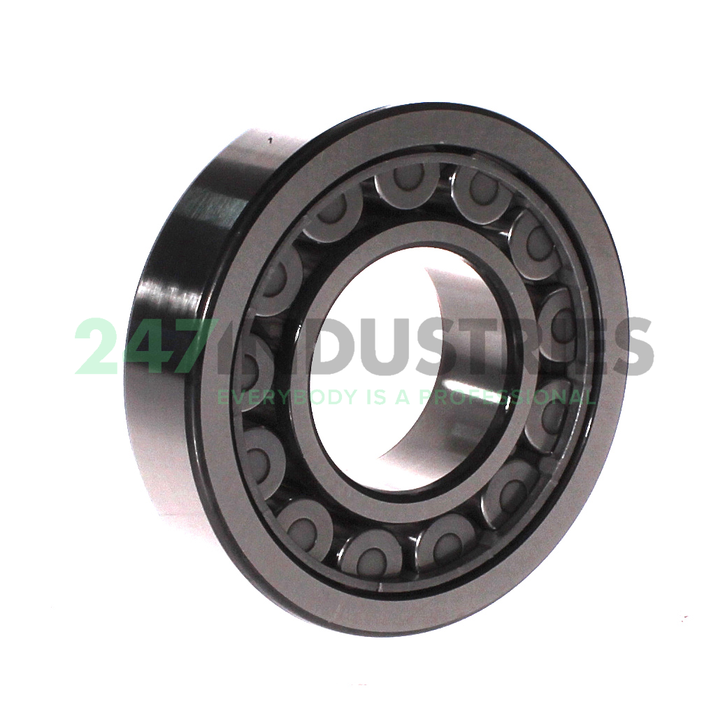 NU309ECJ/C3 SKF Image 2