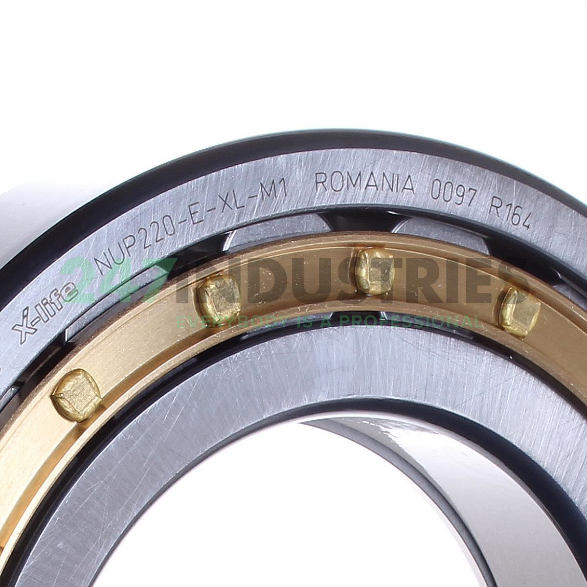 NUP220-E-XL-M1 FAG Image 3