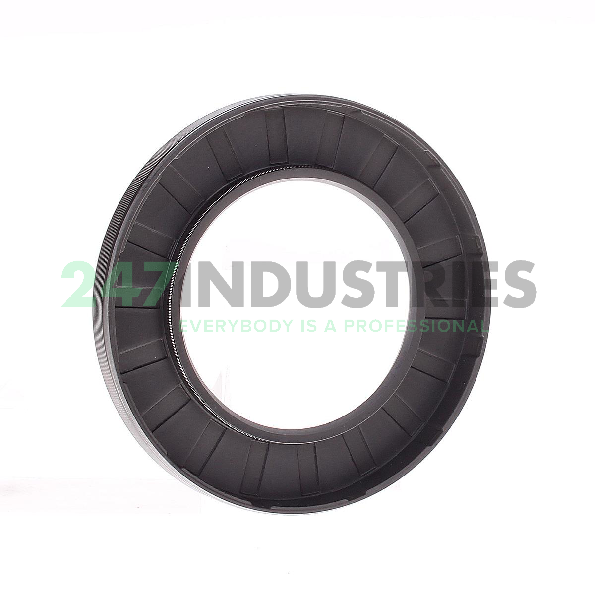 55X90X10HMS5RG SKF Image 2