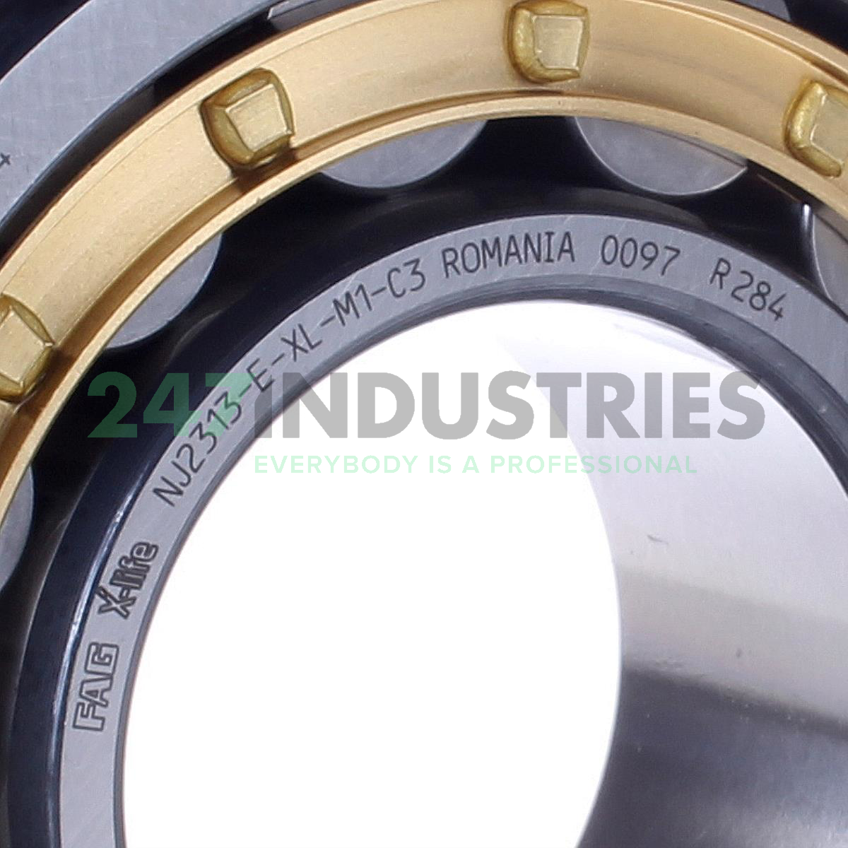 NJ2313-E-XL-M1-C3 FAG Image 2