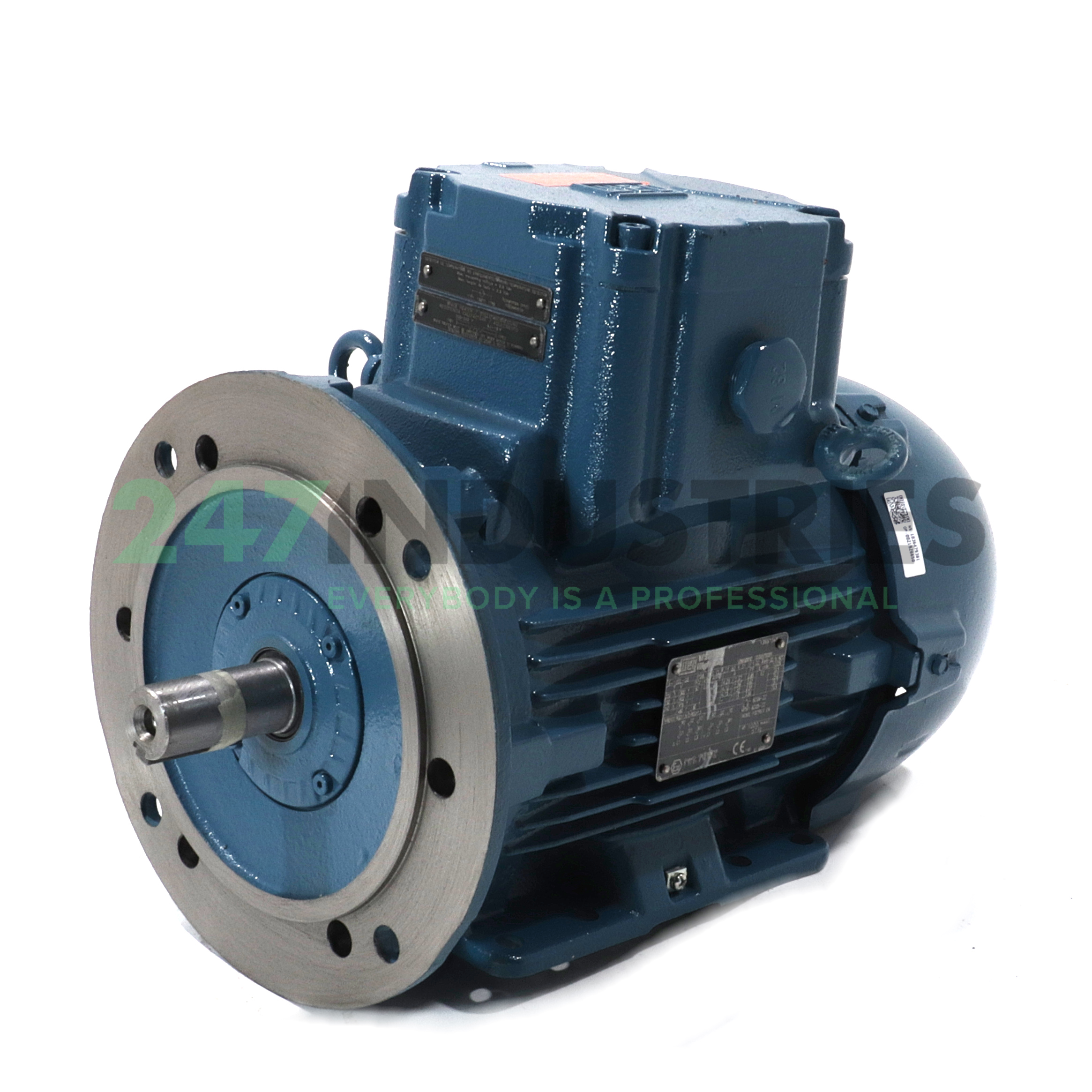 0.75K31CI2100L8B352G WEG Image 1