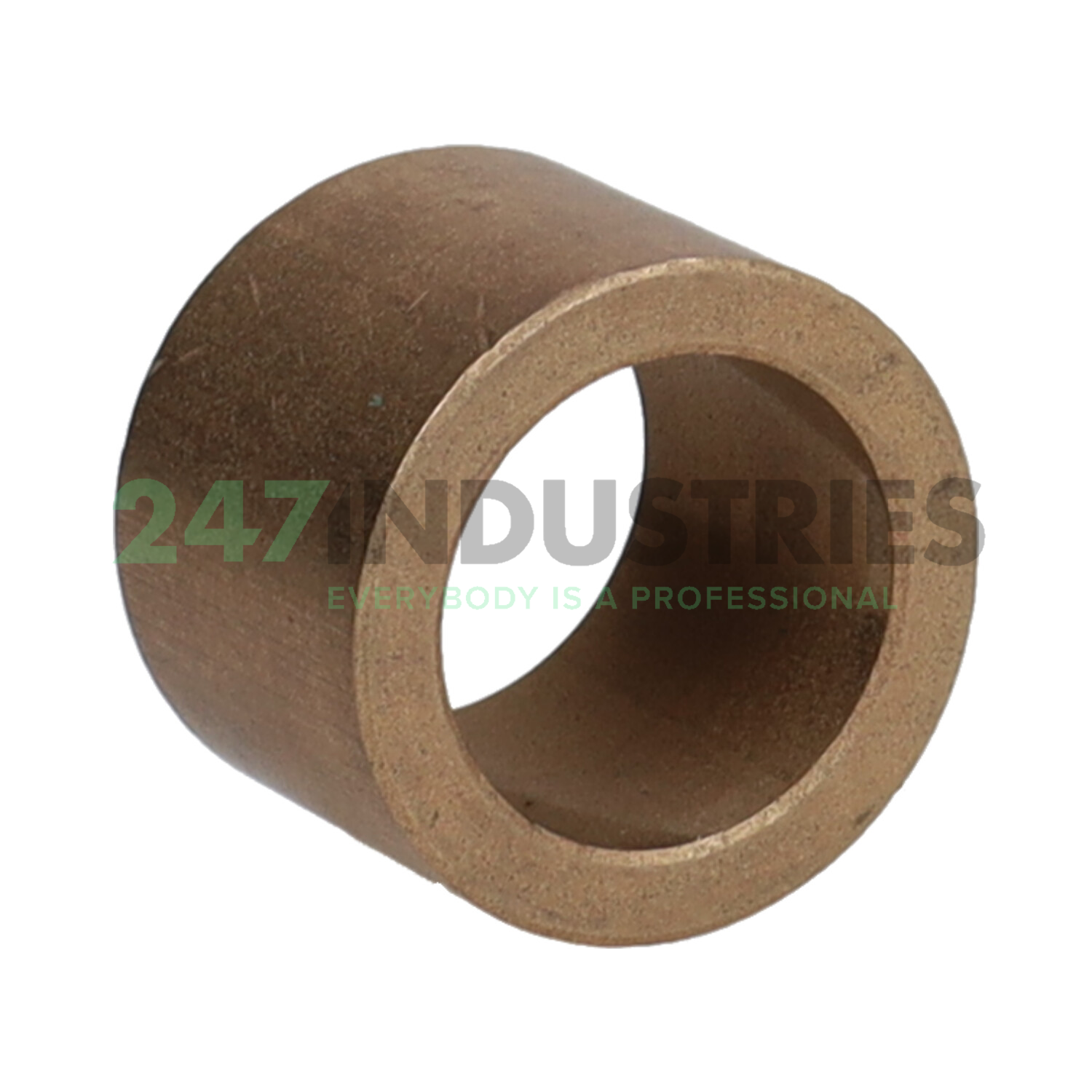 PSM182520 SKF Image 2