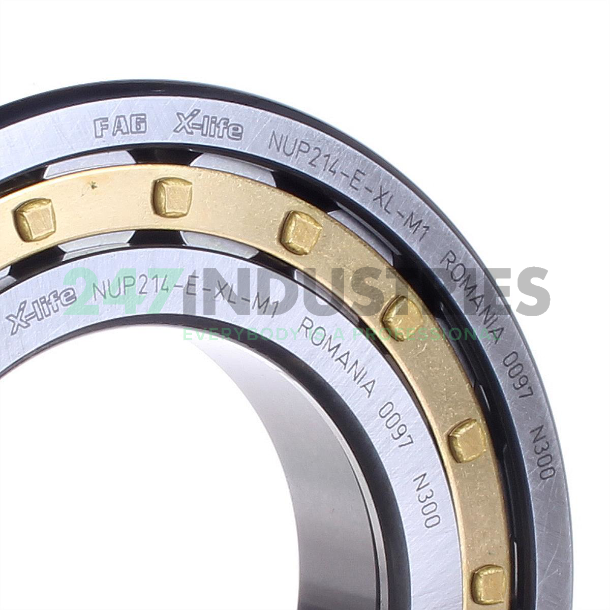 NUP214-E-XL-M1 FAG Image 2