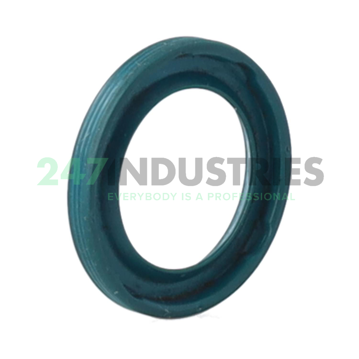 G17X25X3A INA Image 2