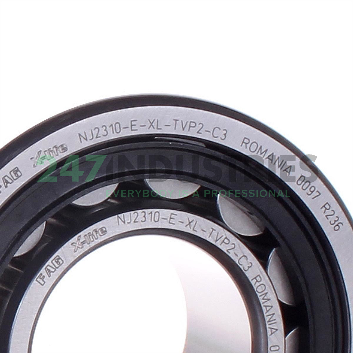 NJ2310-E-XL-TVP2-C3 FAG Image 2