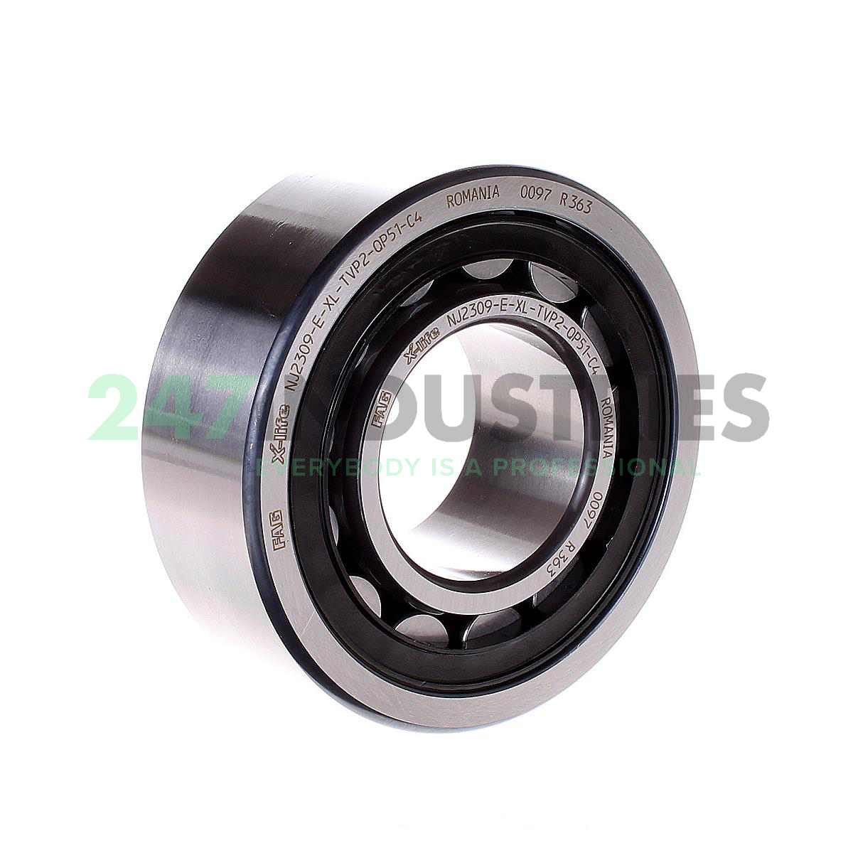 NJ2309-E-XL-TVP2-QP51-C4 FAG