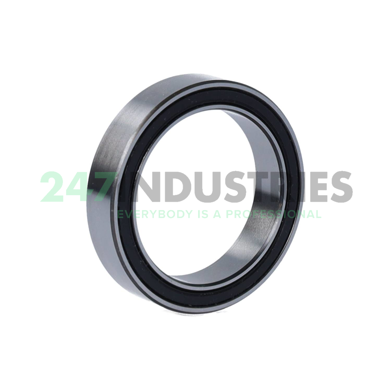 3807-2RS INA Image 2